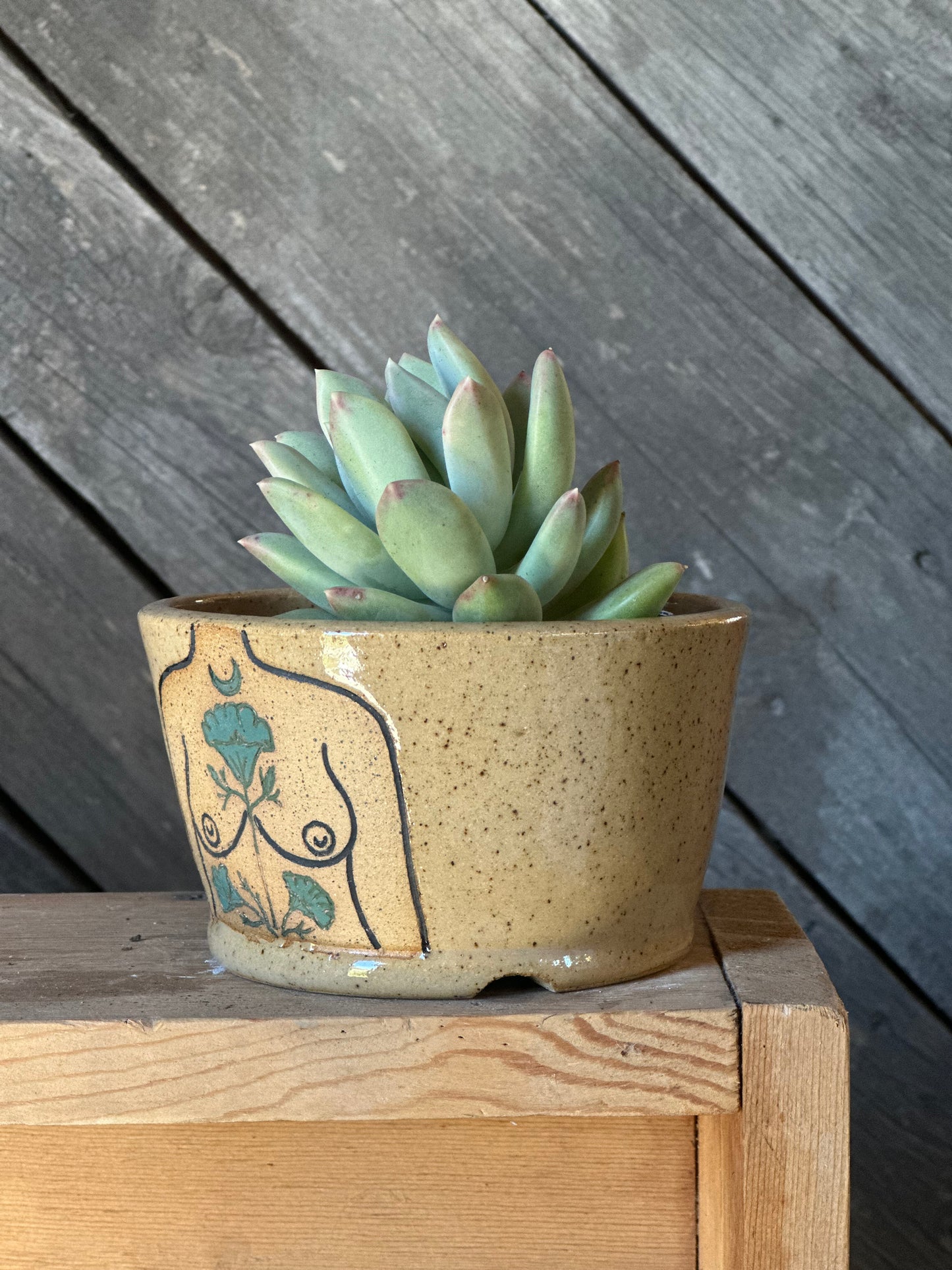 Speckled Boob Planter | green botanicals