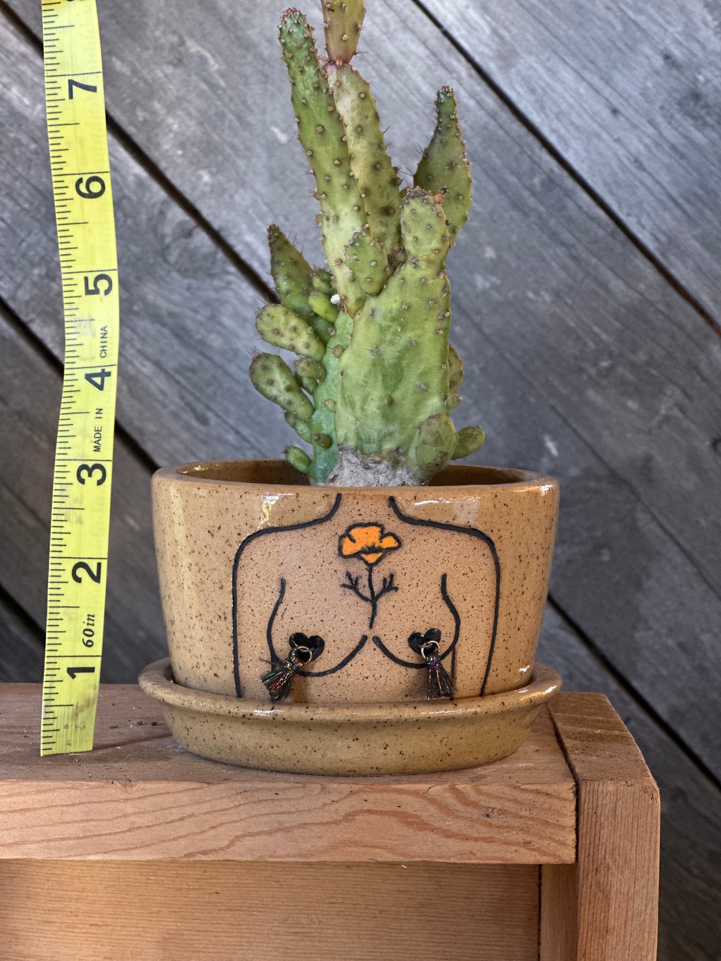 Speckled Boob Planter 3”