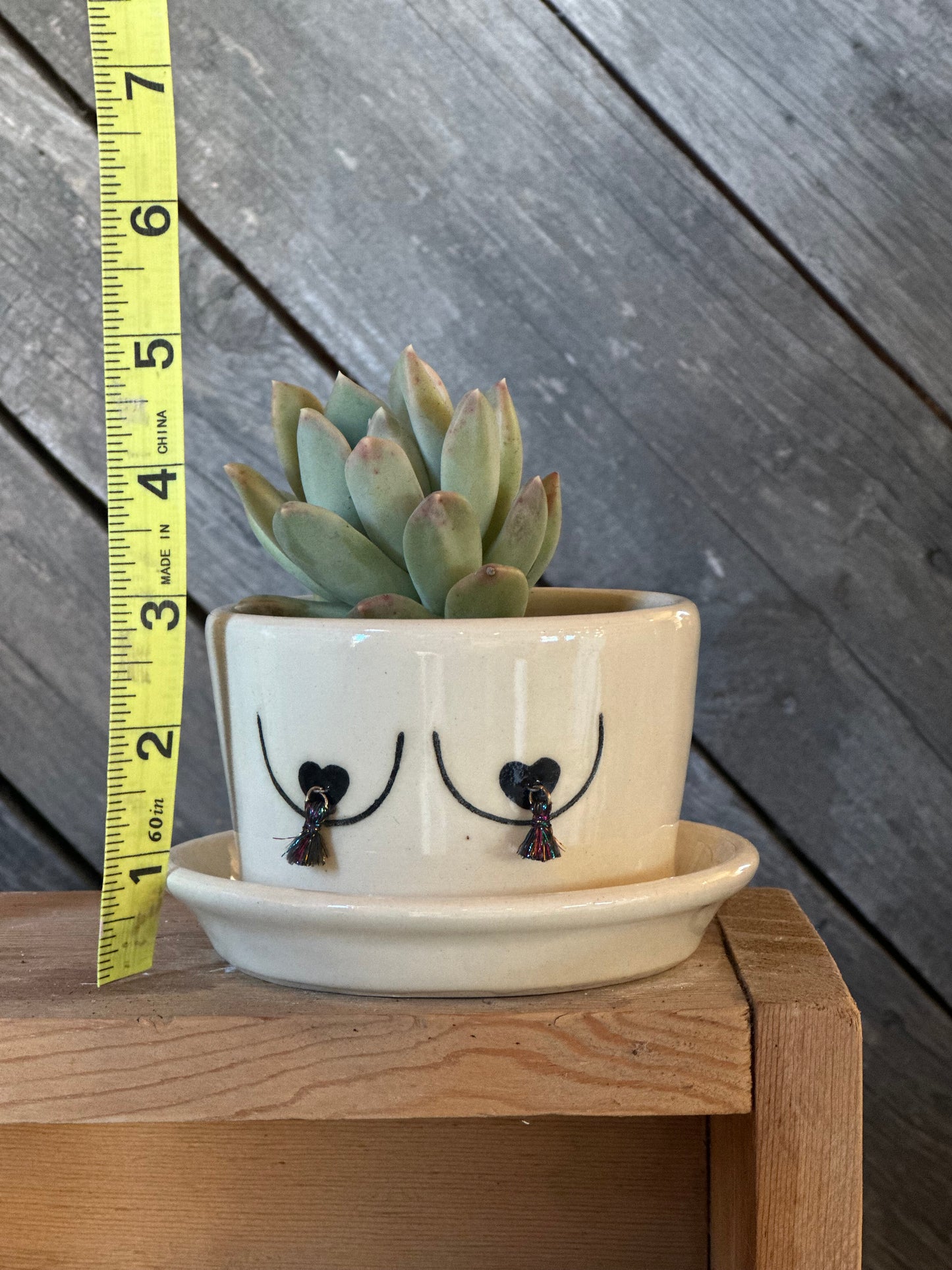 Boob Planter | White