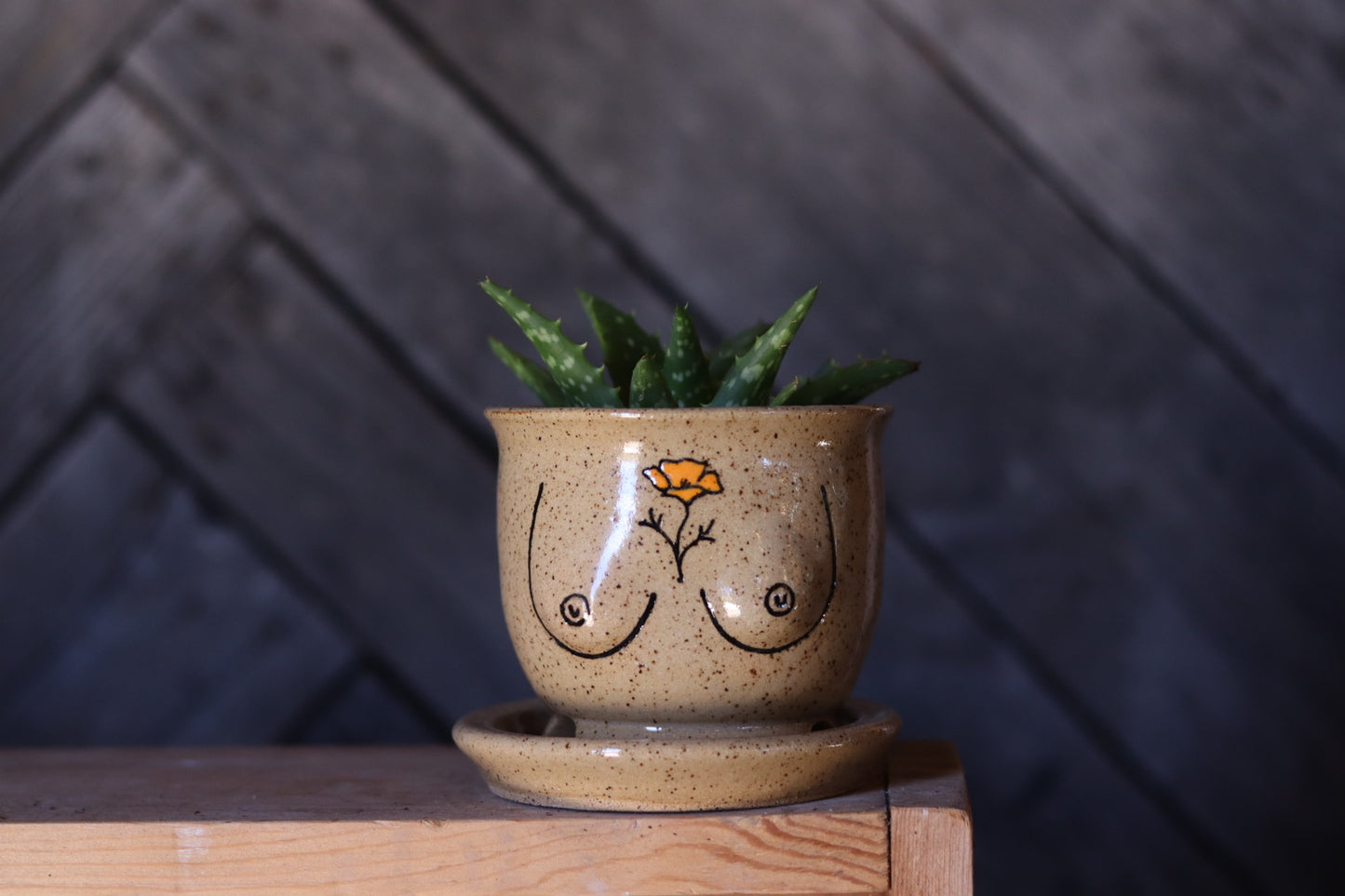 Speckled Ceramic Boob Planter poppy 4”