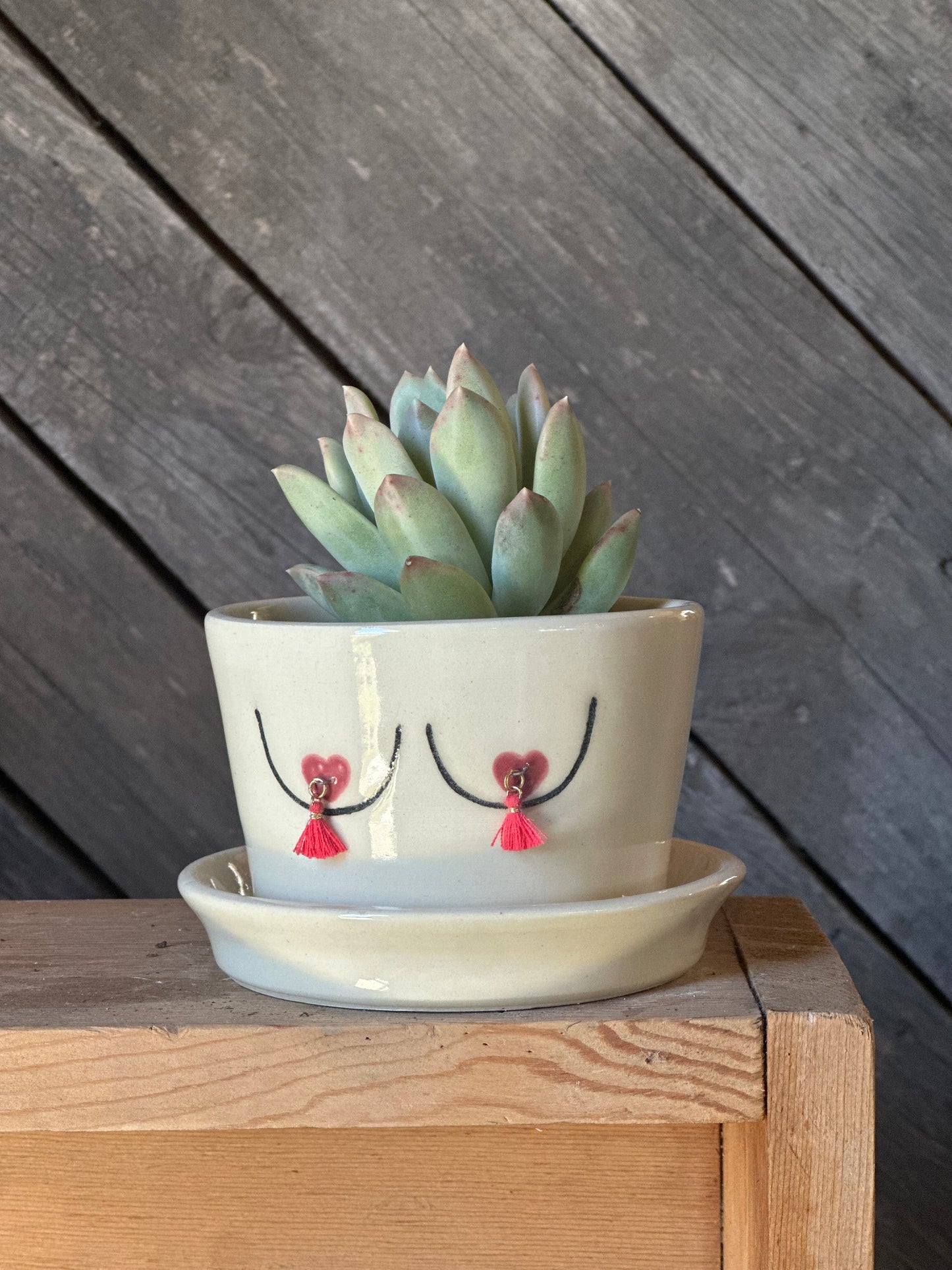 Boob Planter | White 3”