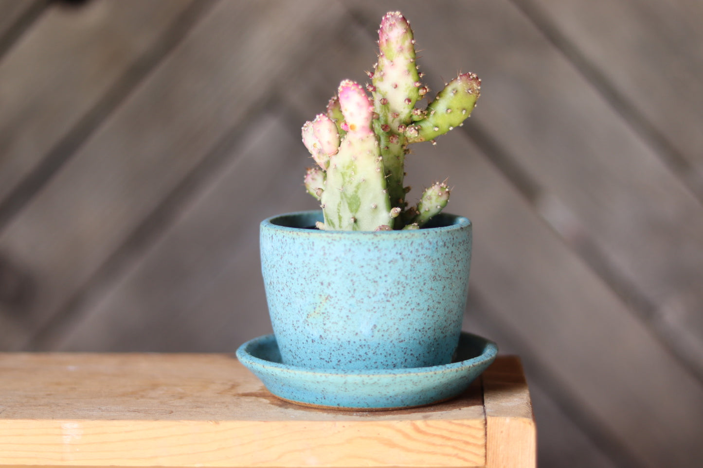 Turquoise Speckled Boob Planter 3”