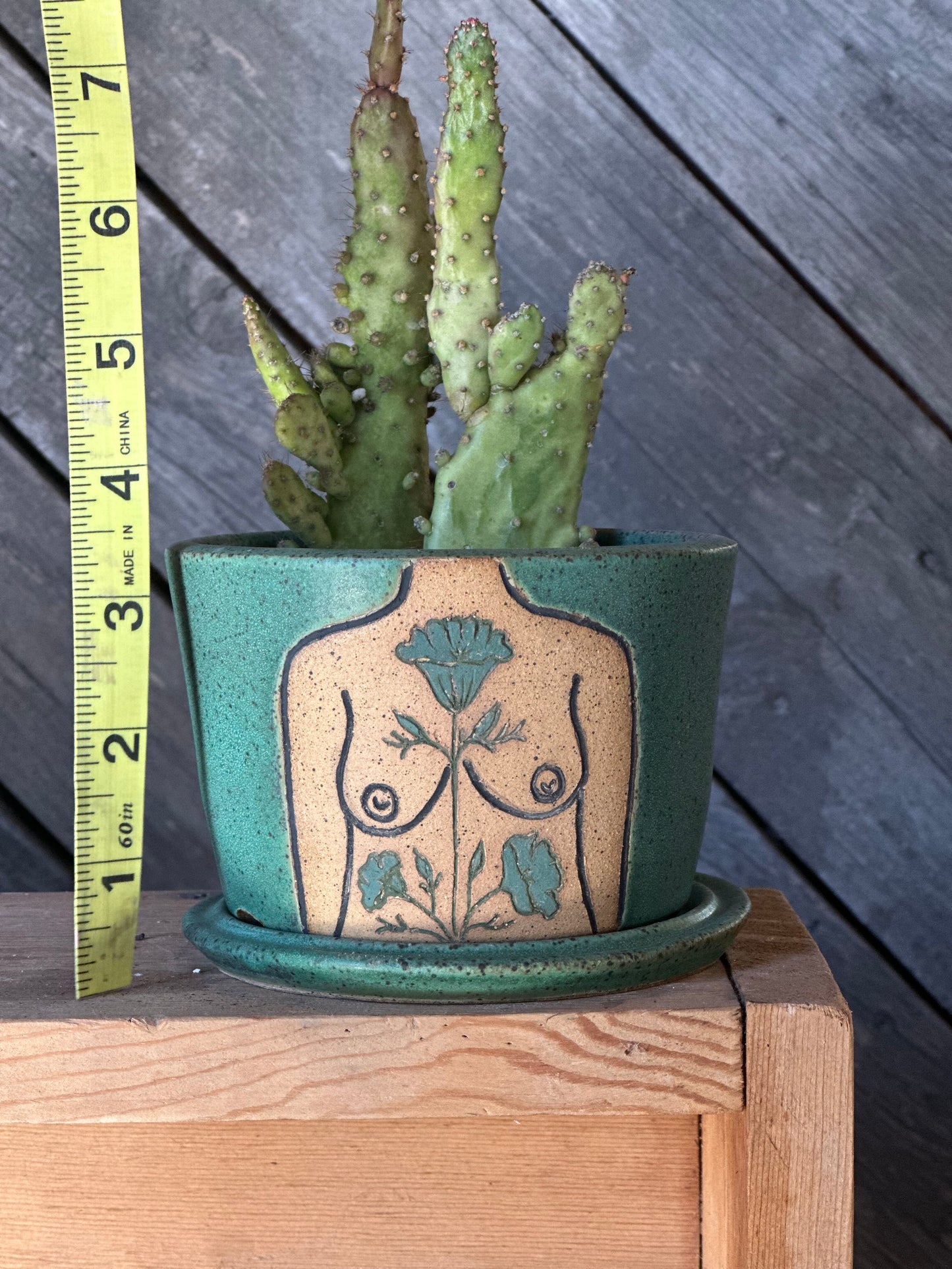 Turquouse Boob Planter | botanicals 3.5”