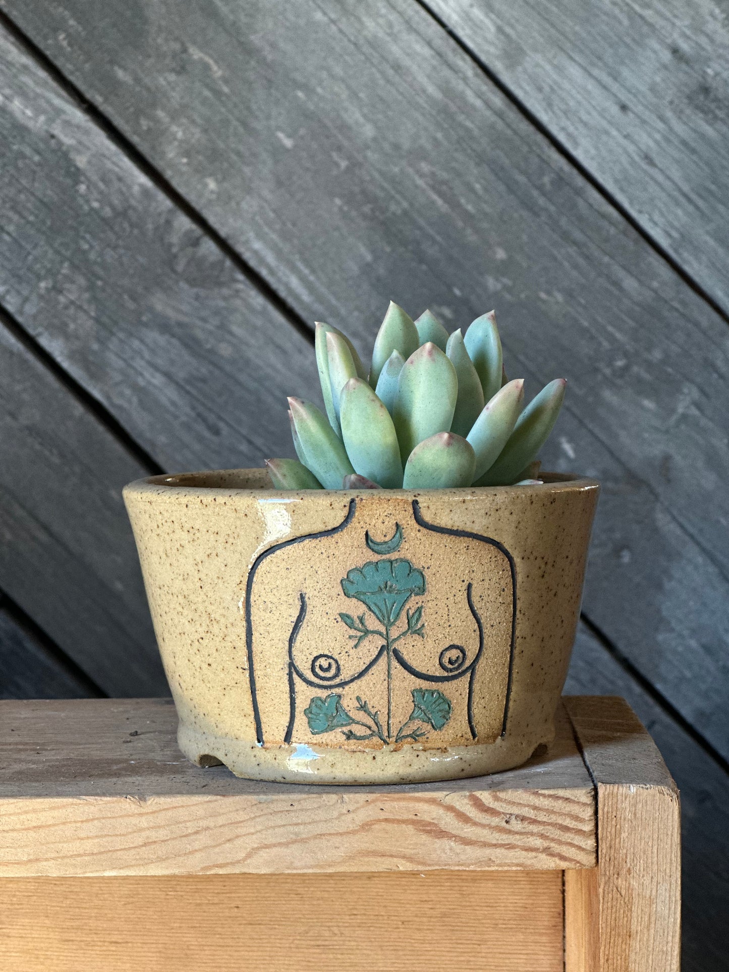 Speckled Boob Planter | green botanicals