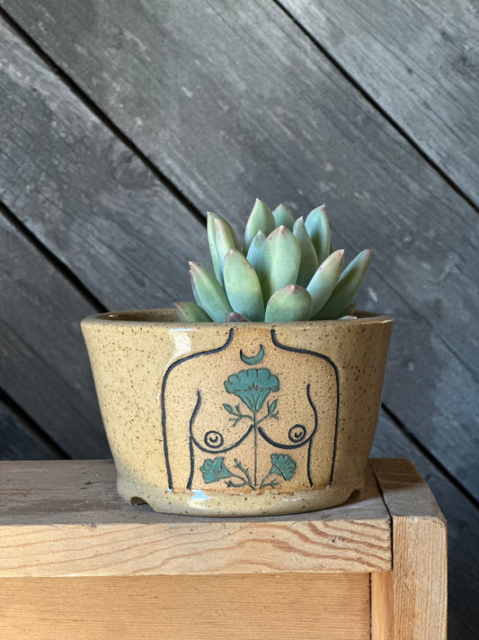 Speckled Boob Planter | green botanicals