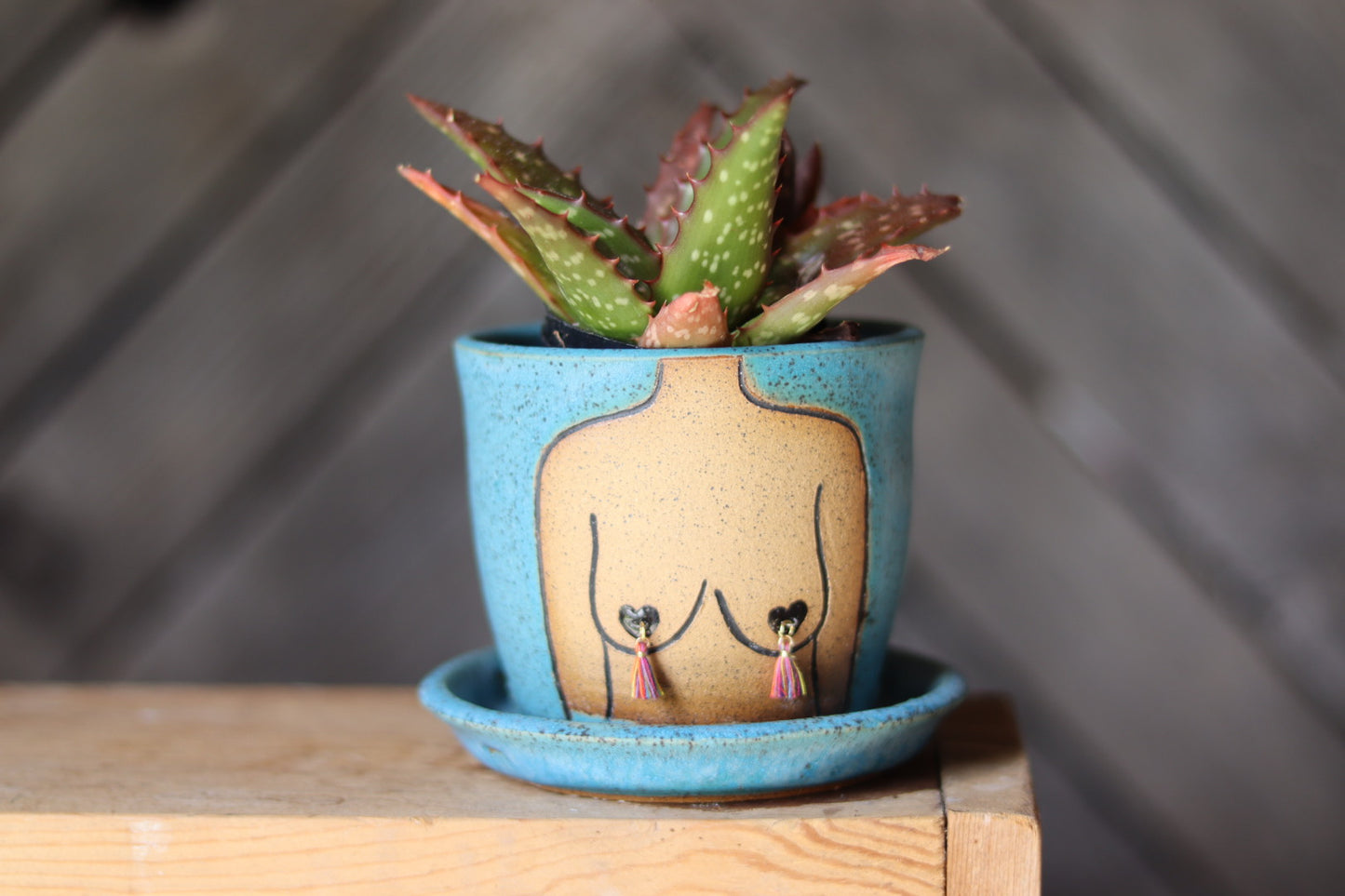 Turquoise Speckled Boob Planter 4”