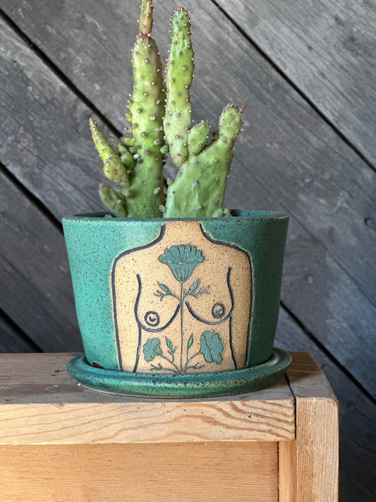 Turquouse Boob Planter | botanicals 3.5”