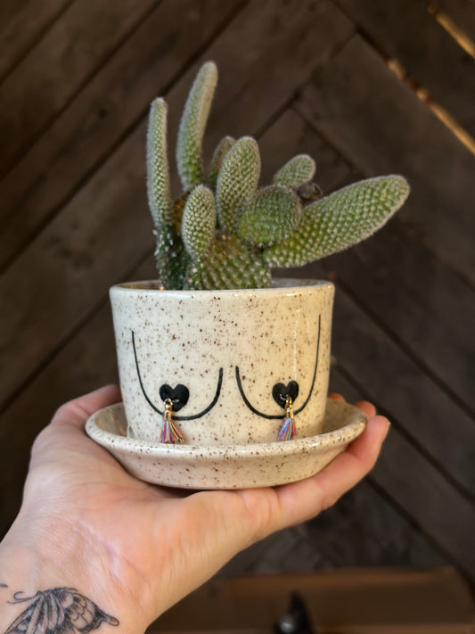 Speckled Boob Planter 3”